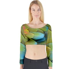 Parrot Feathers Texture Feathers Backgrounds Long Sleeve Crop Top by nateshop