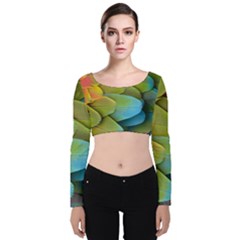 Parrot Feathers Texture Feathers Backgrounds Velvet Long Sleeve Crop Top by nateshop