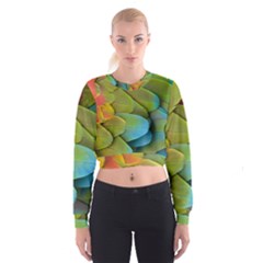 Parrot Feathers Texture Feathers Backgrounds Cropped Sweatshirt by nateshop