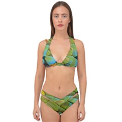 Parrot Feathers Texture Feathers Backgrounds Double Strap Halter Bikini Set by nateshop