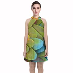 Parrot Feathers Texture Feathers Backgrounds Velvet Halter Neckline Dress  by nateshop