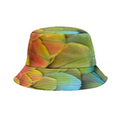 Parrot Feathers Texture Feathers Backgrounds Inside Out Bucket Hat by nateshop