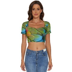 Parrot Feathers Texture Feathers Backgrounds Short Sleeve Square Neckline Crop Top  by nateshop