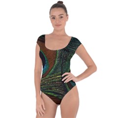 Peacock Feathers, Feathers, Peacock Nice Short Sleeve Leotard 