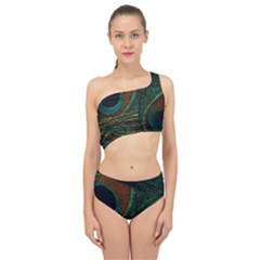 Peacock Feathers, Feathers, Peacock Nice Spliced Up Two Piece Swimsuit by nateshop