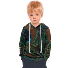 Peacock Feathers, Feathers, Peacock Nice Kids  Overhead Hoodie