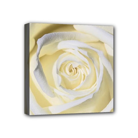 White Roses Flowers Plant Romance Blossom Bloom Nature Flora Petals Mini Canvas 4  X 4  (stretched) by Proyonanggan