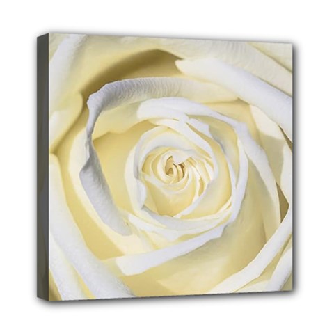 White Roses Flowers Plant Romance Blossom Bloom Nature Flora Petals Mini Canvas 8  X 8  (stretched) by Proyonanggan