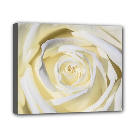 White Roses Flowers Plant Romance Blossom Bloom Nature Flora Petals Canvas 10  X 8  (stretched) by Proyonanggan