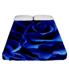 Blue Roses Flowers Plant Romance Blossom Bloom Nature Flora Petals Fitted Sheet (queen Size) by Proyonanggan