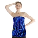 Blue Roses Flowers Plant Romance Blossom Bloom Nature Flora Petals Strapless Top View1