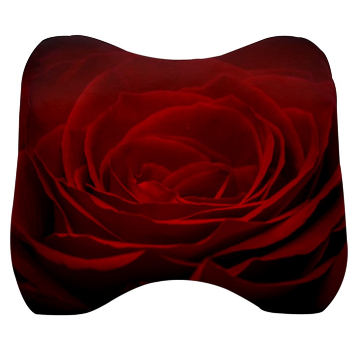 Rose Red Rose Red Flower Petals Waves Glow Velour Head Support Cushion