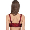 Rose Red Rose Red Flower Petals Waves Glow Cage Up Bikini Top View2