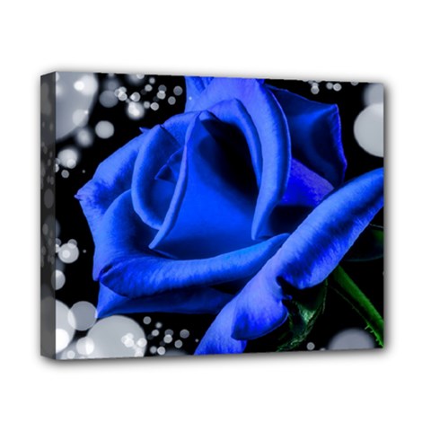 Blue Rose Bloom Blossom Canvas 10  X 8  (stretched) by Proyonanggan