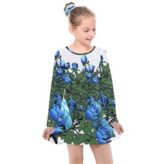 Flowers Roses Rose Nature Bouquet Kids  Long Sleeve Dress by Proyonanggan