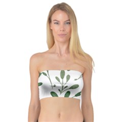 Sheets-7 Bandeau Top by nateshop