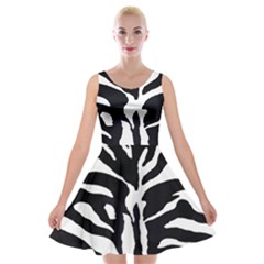 Zebra-black White Velvet Skater Dress