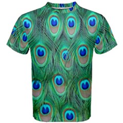 Feather, Bird, Pattern, Peacock, Texture Men s Cotton T-shirt by nateshop