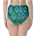 Feather, Bird, Pattern, Peacock, Texture Classic High-Waist Bikini Bottoms View2