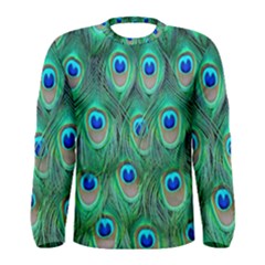 Feather, Bird, Pattern, Peacock, Texture Men s Long Sleeve T-shirt by nateshop