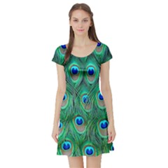 Feather, Bird, Pattern, Peacock, Texture Short Sleeve Skater Dress by nateshop