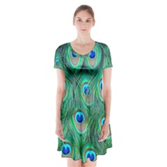 Feather, Bird, Pattern, Peacock, Texture Short Sleeve V-neck Flare Dress by nateshop