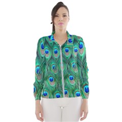 Feather, Bird, Pattern, Peacock, Texture Women s Windbreaker by nateshop