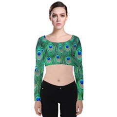 Feather, Bird, Pattern, Peacock, Texture Velvet Long Sleeve Crop Top by nateshop