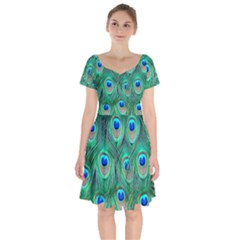 Peacock Feathers, Bonito, Bird, Blue, Colorful, Feathers Short Sleeve Bardot Dress by nateshop