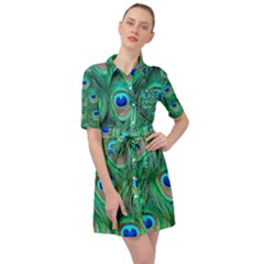 Peacock Feathers, Bonito, Bird, Blue, Colorful, Feathers Belted Shirt Dress by nateshop