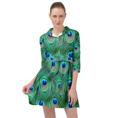 Peacock Feathers, Bonito, Bird, Blue, Colorful, Feathers Mini Skater Shirt Dress by nateshop