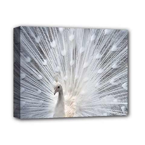 White Feathers, Animal, Bird, Feather, Peacock Deluxe Canvas 14  X 11  (stretched) by nateshop