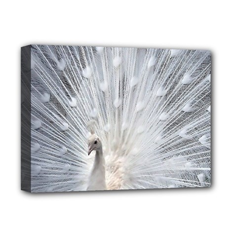 White Feathers, Animal, Bird, Feather, Peacock Deluxe Canvas 16  X 12  (stretched)  by nateshop