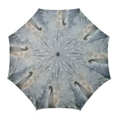 White Feathers, Animal, Bird, Feather, Peacock Golf Umbrellas by nateshop