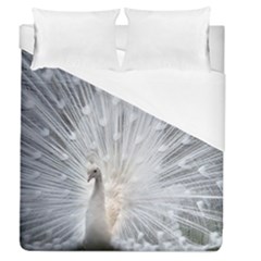 White Feathers, Animal, Bird, Feather, Peacock Duvet Cover (queen Size) by nateshop