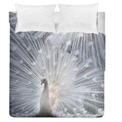 White Feathers, Animal, Bird, Feather, Peacock Duvet Cover Double Side (queen Size) by nateshop