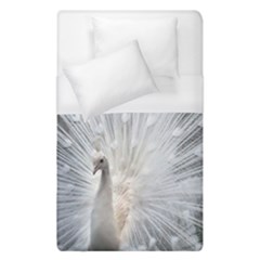 White Feathers, Animal, Bird, Feather, Peacock Duvet Cover (single Size) by nateshop