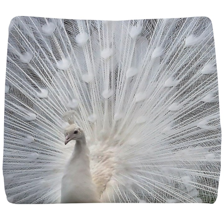 White Feathers, Animal, Bird, Feather, Peacock Seat Cushion