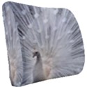 White Feathers, Animal, Bird, Feather, Peacock Seat Cushion View2