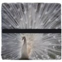 White Feathers, Animal, Bird, Feather, Peacock Seat Cushion View4