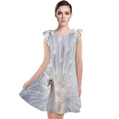 White Feathers, Animal, Bird, Feather, Peacock Tie Up Tunic Dress by nateshop