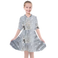 White Feathers, Animal, Bird, Feather, Peacock Kids  All Frills Chiffon Dress by nateshop