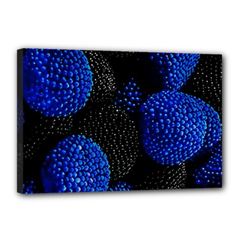 Berry, One,berry Blue Black Canvas 18  X 12  (stretched) by nateshop