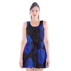 Berry, One,berry Blue Black Scoop Neck Skater Dress by nateshop