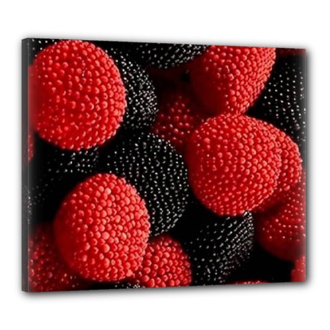 Berry,curved, Edge, Canvas 24  X 20  (stretched) by nateshop