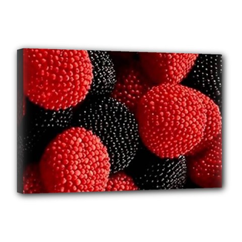 Berry,curved, Edge, Canvas 18  X 12  (stretched) by nateshop