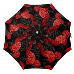 Berry,curved, Edge, Straight Umbrellas by nateshop