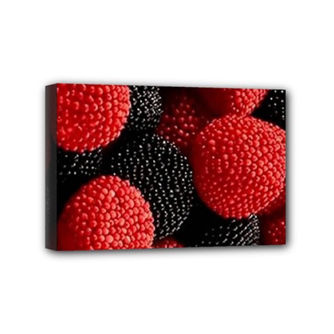 Berry,curved, Edge, Mini Canvas 6  X 4  (stretched) by nateshop