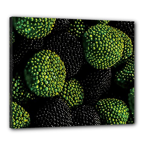 Berry,note, Green, Raspberries Canvas 24  X 20  (stretched) by nateshop