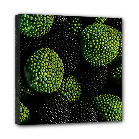 Berry,note, Green, Raspberries Mini Canvas 8  X 8  (stretched) by nateshop